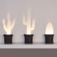 A Set of Three Cactus Lamps in Three Different Shapes
